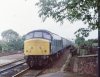 Class 45 1980s.jpg