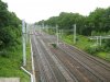 IMG_1832.jpg