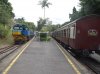 DSC01150.JPG