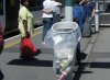 DSCF6031.jpg