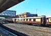 DSCF7747.jpg
