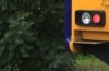 guess_train_8.7.17.jpg