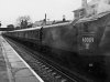 DSCF8661.JPG