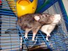 DSC01146.jpg