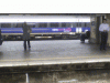 clue1.gif