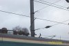 Picture_0200.jpg