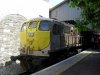 SDC10508.jpg