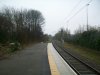 Picture 3.JPG