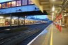 DSC06449.jpg
