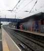 guess20.jpg