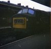 img483.jpg