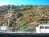 100_1433.JPG