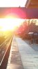 100_0005-2.JPG