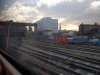 IMG_20170829_071004-01.jpeg