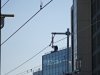 DSC00081.JPG