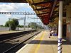 DSC00082.JPG