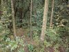 IMG_20170903_105234.jpg
