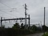DSC00119.JPG