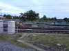 DSC00138.JPG