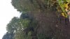 20170926_175130.jpg