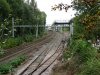 DSC00158.JPG