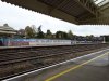 DSC00155.JPG