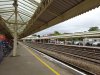 DSC00156.JPG