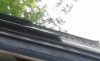 20170505_162651 - Edited (1).jpg