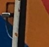 Guess the train 2.jpg