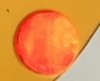 guess the train 11.jpg