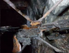 20180107_130412.png
