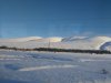 IMG_20180120_145306176.jpg