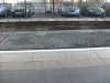 S6306791.JPG