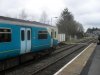SDC11073.jpg