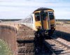 pics_156496.jpg