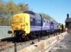 55029_northern.jpg