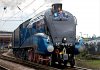 bittern-at-york_1302983732.jpg