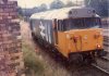 50001 York.jpg