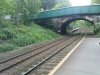 DSC00906.JPG