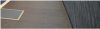 guessthestation.JPG
