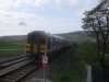 SDC11136.jpg