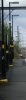 fullsizeoutput_119.jpeg