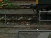 train1.jpg