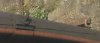 IMG_20170723_082810 - Copy.jpg