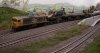 Class 20 shunts yard at Strathmuir.JPG
