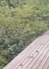 IMG_20180816_093531 - Copy.jpg