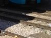 train1.jpg