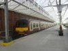 SDC11230.jpg