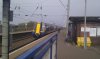 IMAG0048.jpg