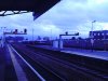 class59wsr 048.jpg